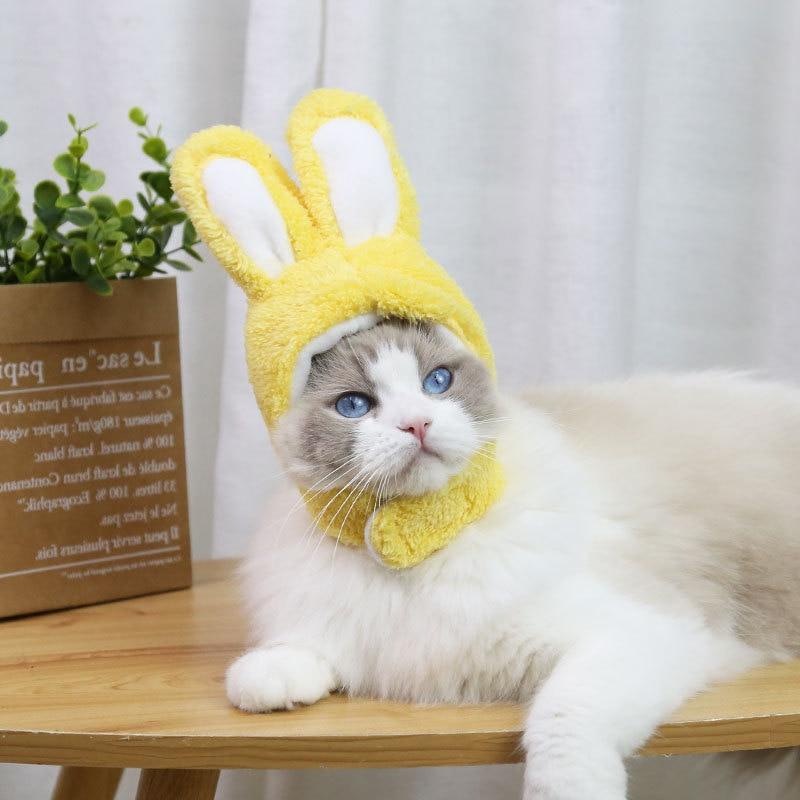 RabbitHat™ - Accessoire de déguisement pour chat - EasyShop